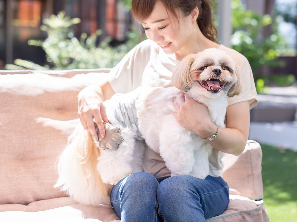 Owner gently brushing a small dog outdoors as part of a regular home grooming routine.