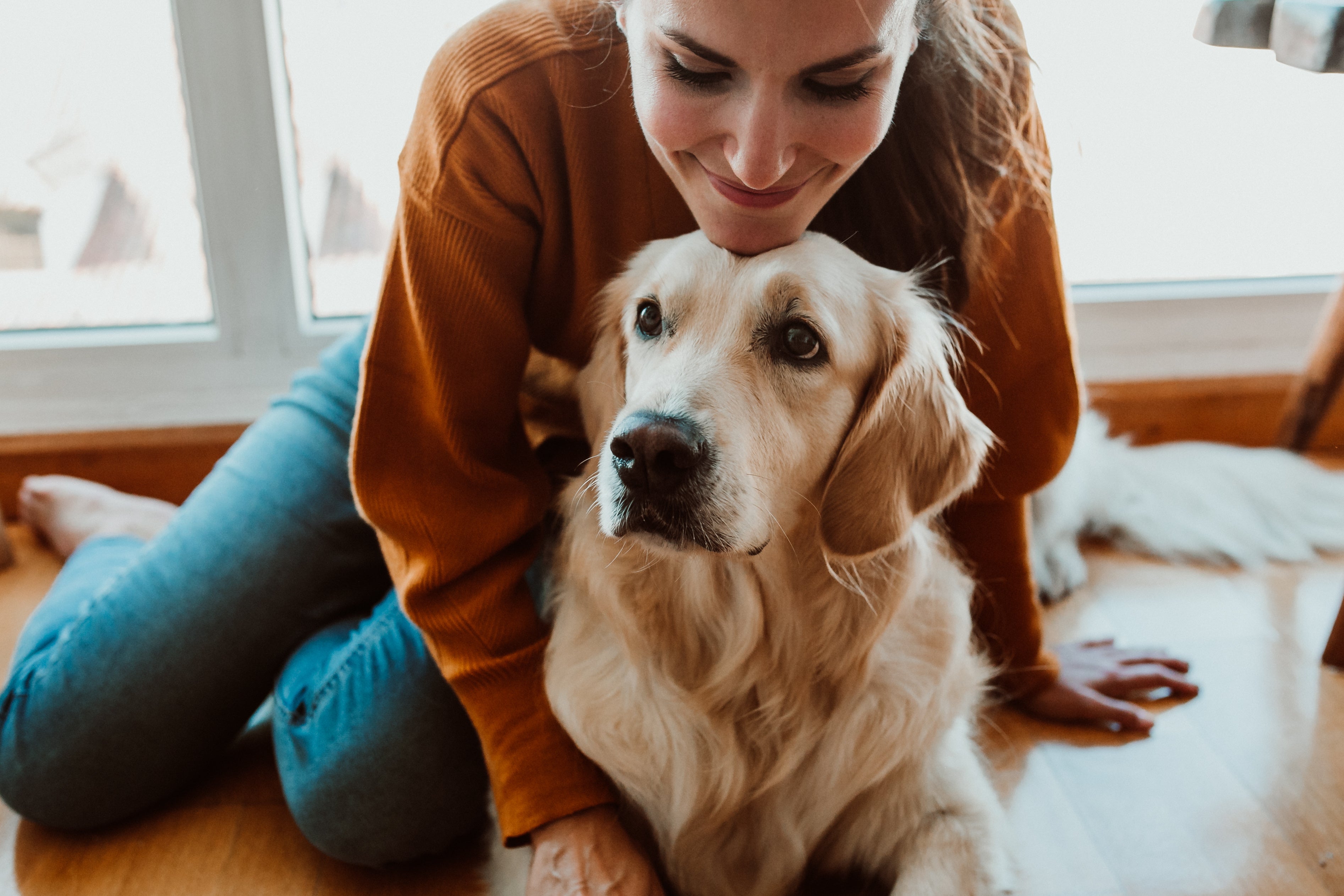 Dog owner cuddling and checking their dog's coat after bath time for lingering smell