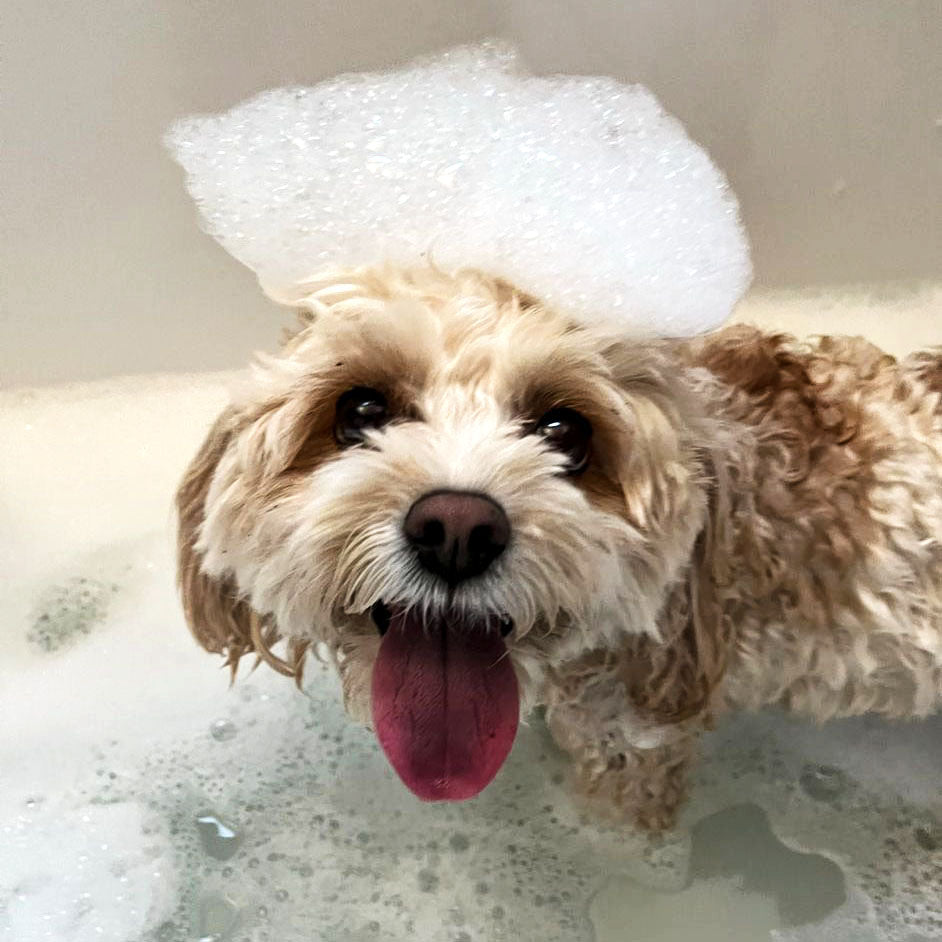 Bath Time