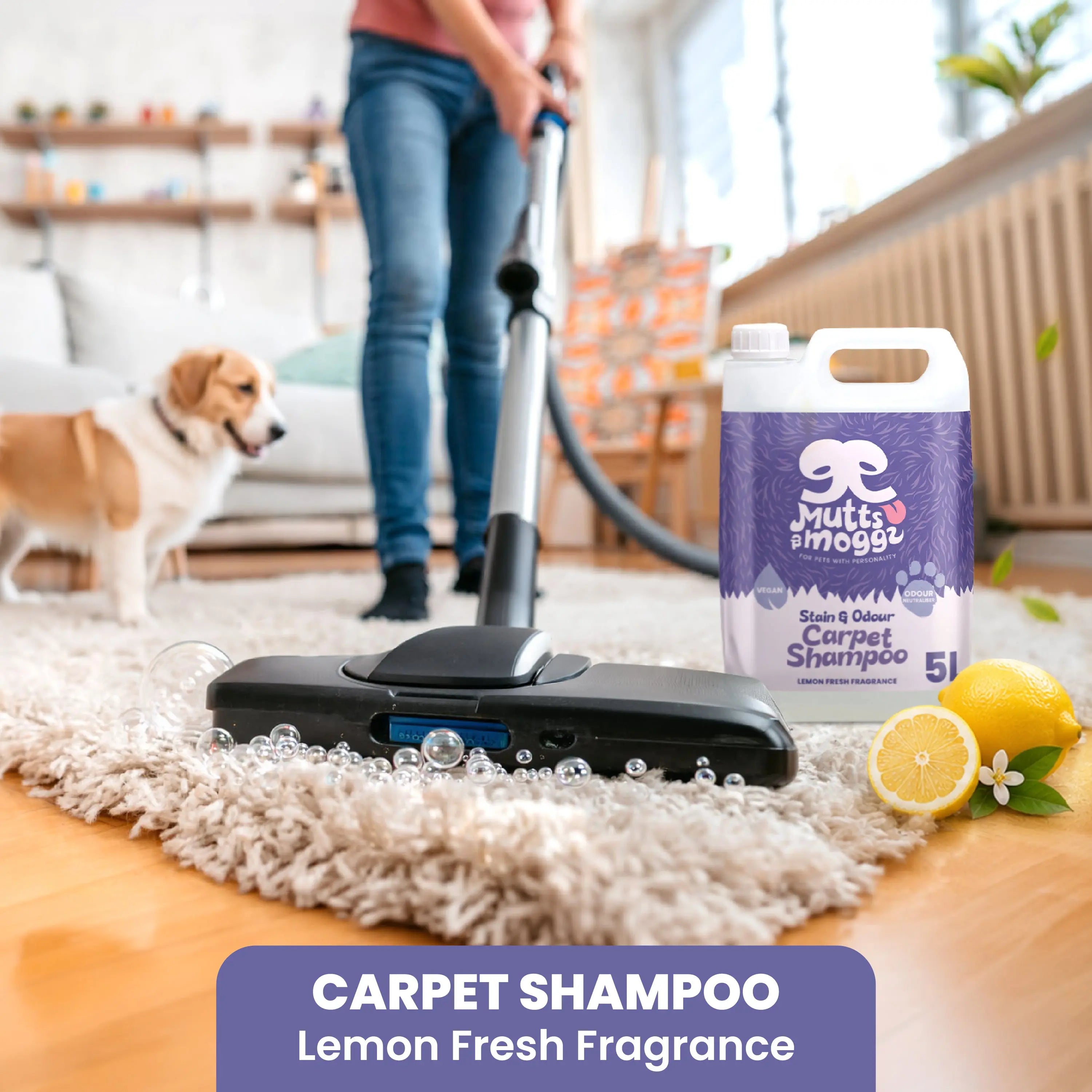 Lemon Fresh Pet Carpet Shampoo for Stains & Odours – 5L Mutts and Moggs