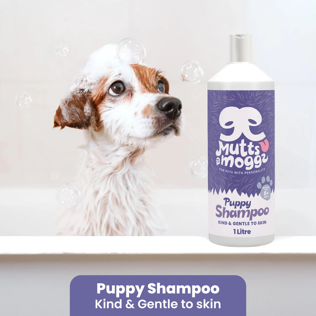 Baby Powder Puppy Shampoo for Sensitive Skin – 1L Mutts and Moggs