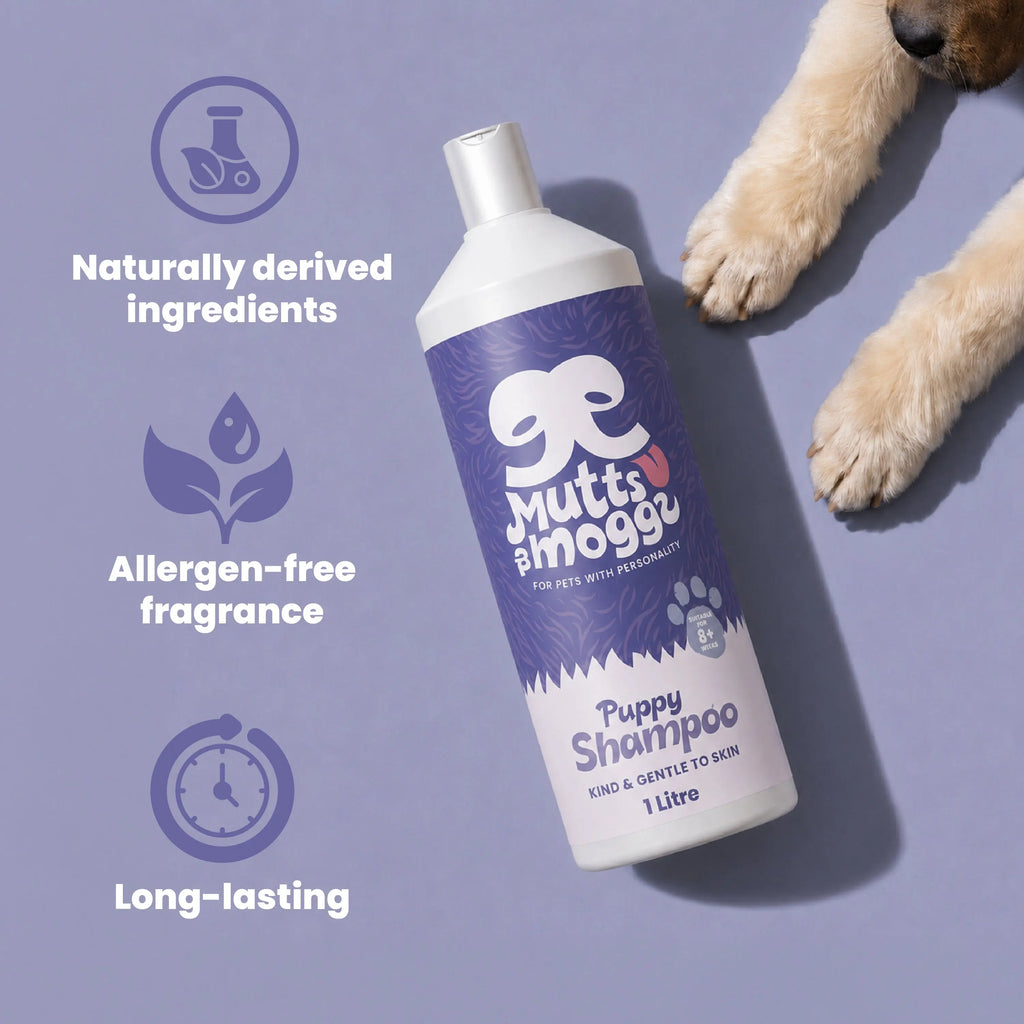Baby Powder Puppy Shampoo for Sensitive Skin – 1L Mutts and Moggs
