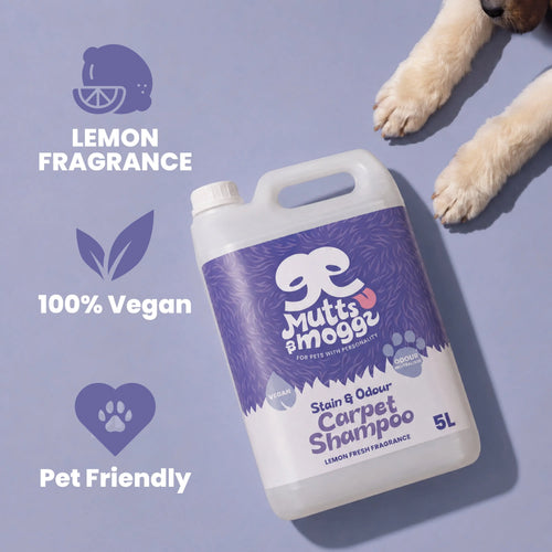 Lemon Fresh Pet Carpet Shampoo for Stains & Odours – 5L Mutts and Moggs