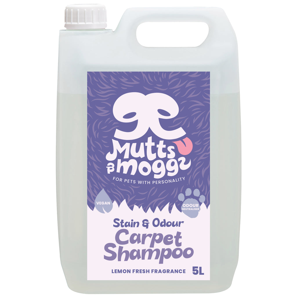 Lemon Fresh Carpet Shampoo for Pet Stains & Odours – 5L