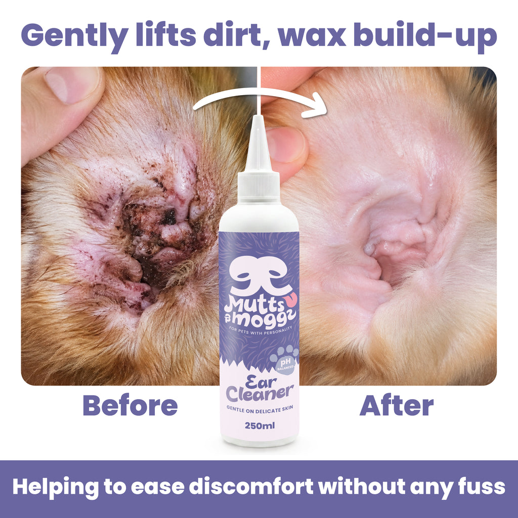Gentle Ear Cleaner for Dogs & Cats - 250ml