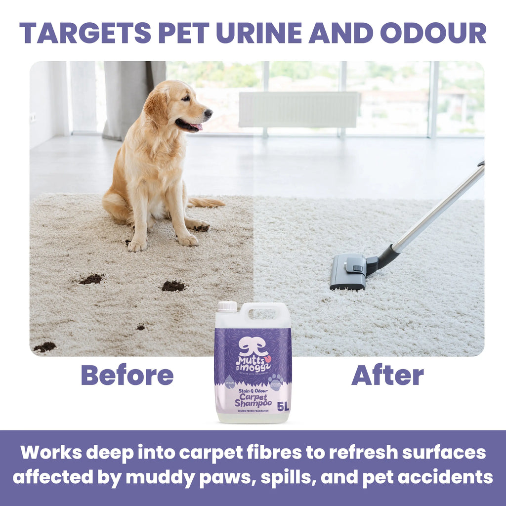 Lemon Fresh Pet Carpet Shampoo for Stains & Odours – 5L Mutts and Moggs