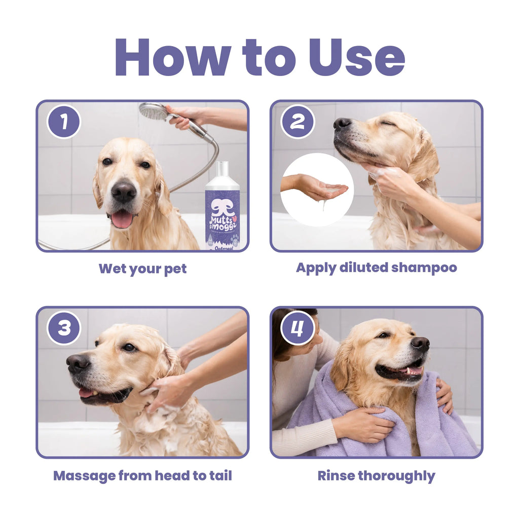 Oatmeal Dog Shampoo for Sensitive Skin – 1L Mutts and Moggs