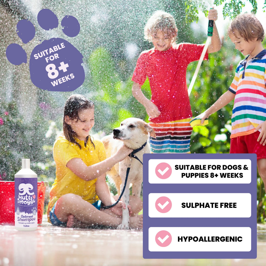 Oatmeal Dog Shampoo for Sensitive Skin – 1L Mutts and Moggs