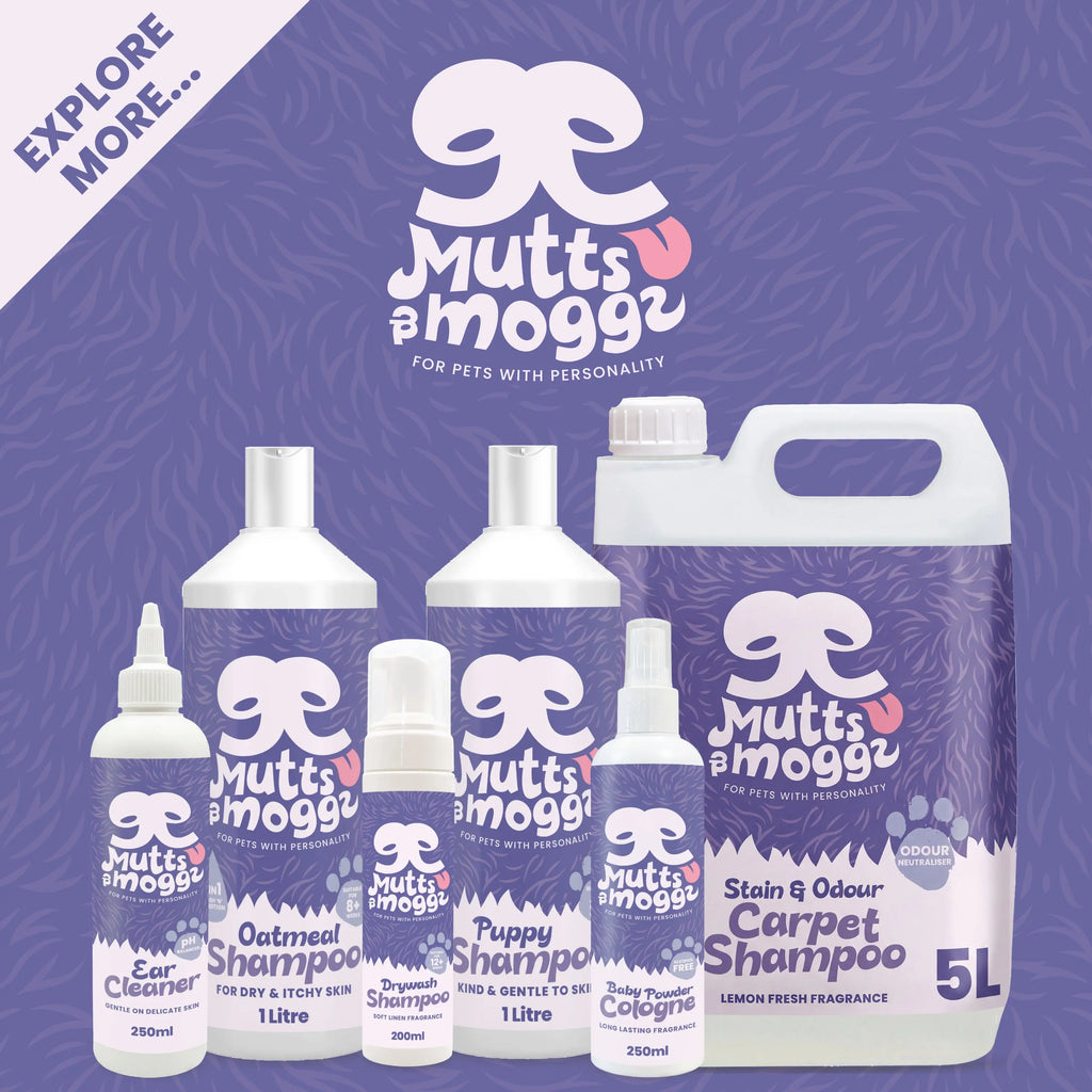 Oatmeal Dog Shampoo for Sensitive Skin – 1L Mutts and Moggs