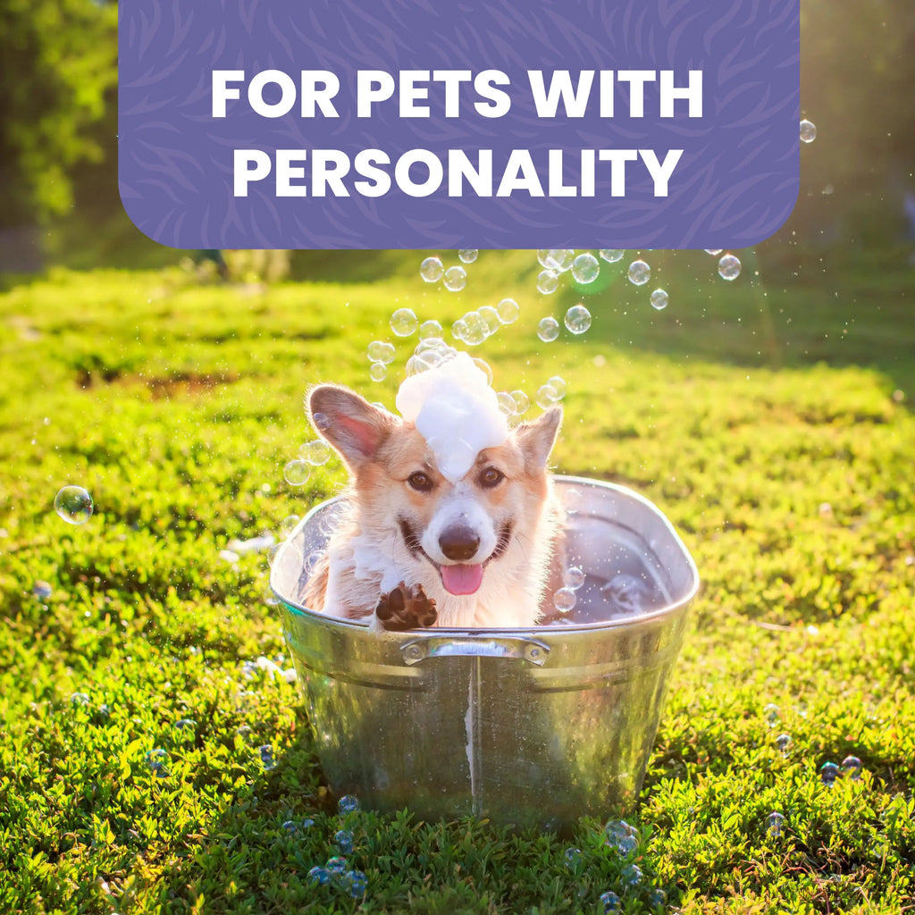 Oatmeal Dog Shampoo for Sensitive Skin – 1L Mutts and Moggs