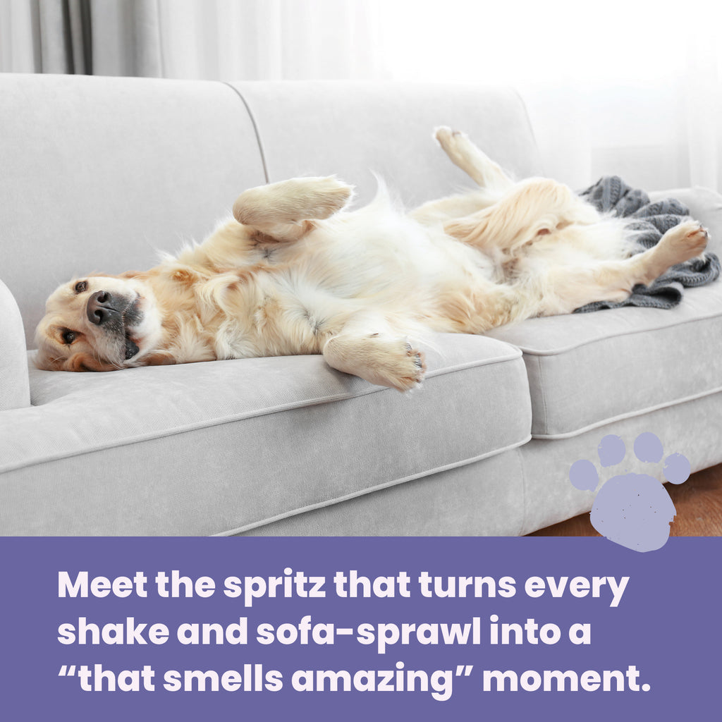 Baby Powder Dog Cologne  250ml
