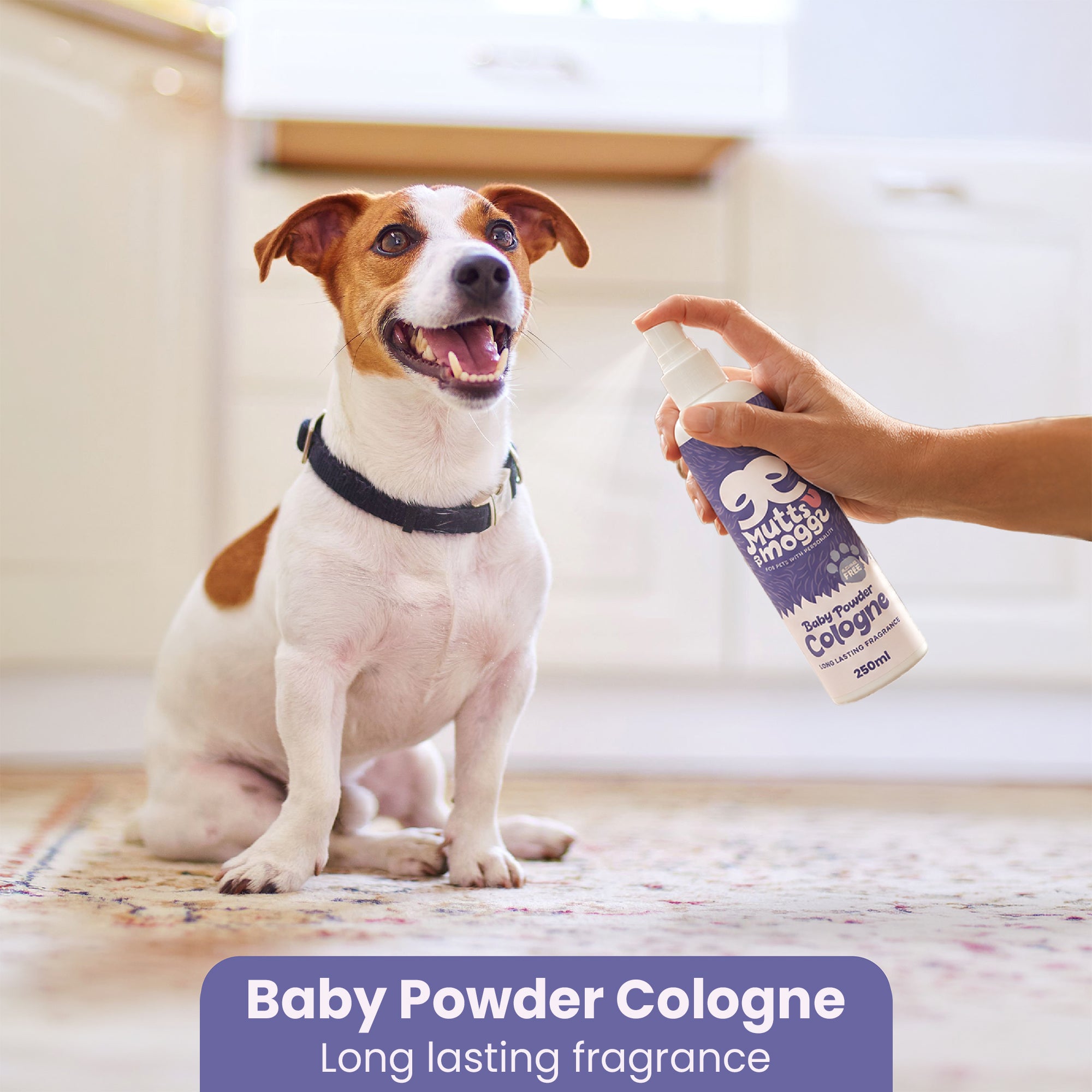 Baby Powder Dog Cologne  250ml