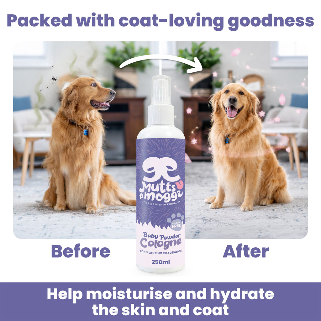 Baby Powder Dog Cologne  250ml