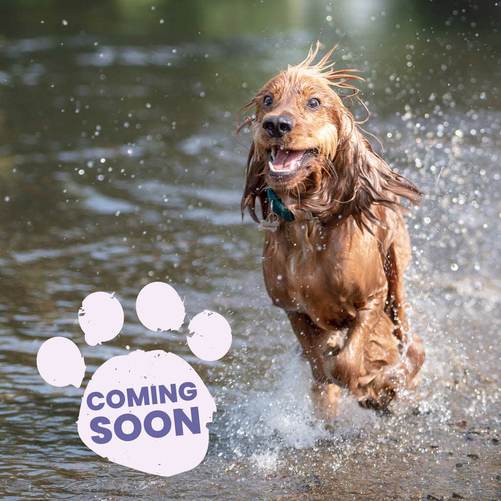 Oatmeal Dog Shampoo for Sensitive Skin – 1L